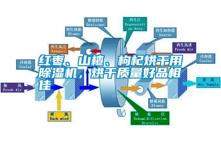 紅棗、山楂、枸杞烘干用除濕機(jī)，烘干質(zhì)量好品相佳