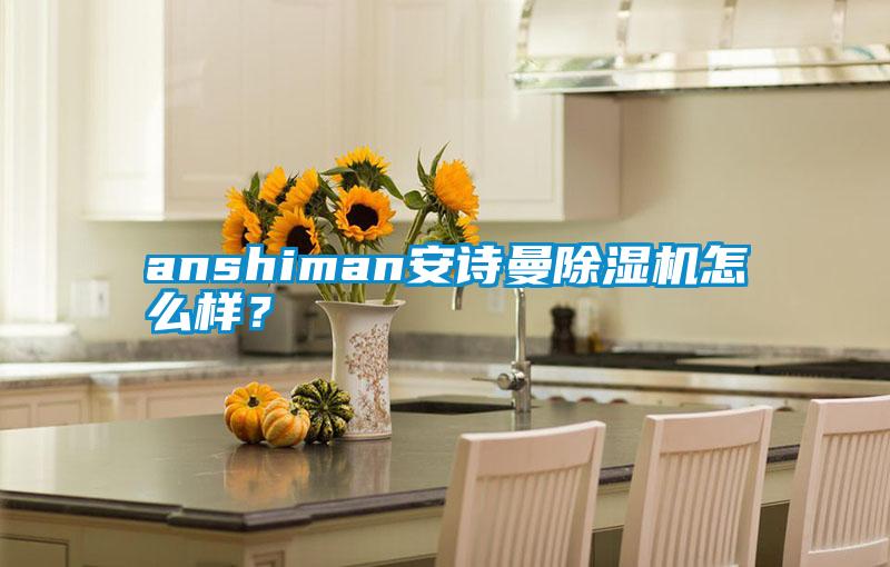 anshiman安詩曼除濕機怎么樣？