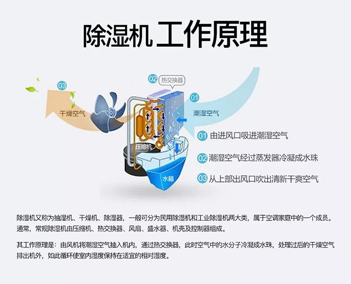 中藥材怎么烘干不變色？中藥材烘干用除濕機