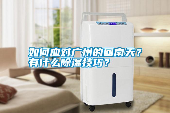 如何應(yīng)對廣州的回南天？有什么除濕技巧？