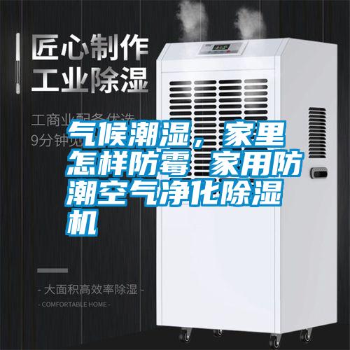 氣候潮濕，家里怎樣防霉 家用防潮空氣凈化除濕機