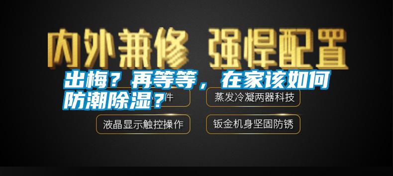 出梅？再等等，在家該如何防潮除濕？