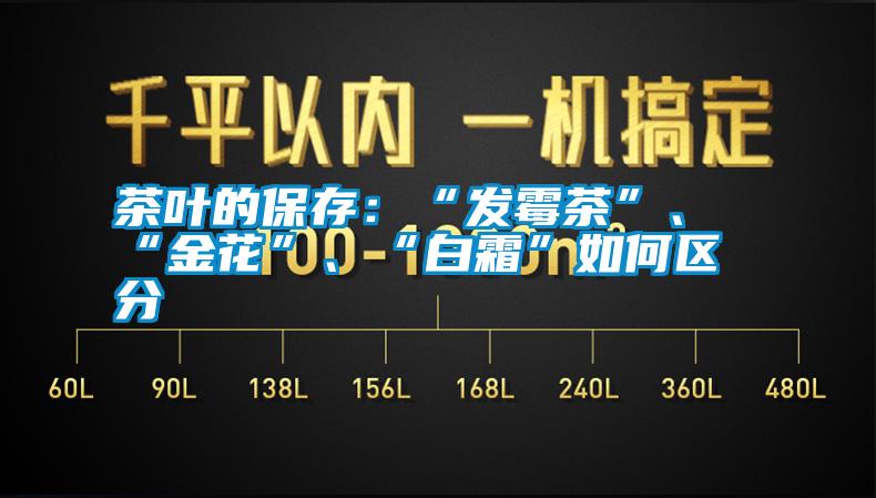 茶葉的保存：“發(fā)霉茶”、“金花”、“白霜”如何區(qū)分