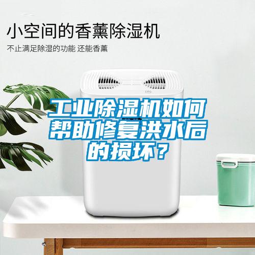 工業(yè)除濕機(jī)如何幫助修復(fù)洪水后的損壞？