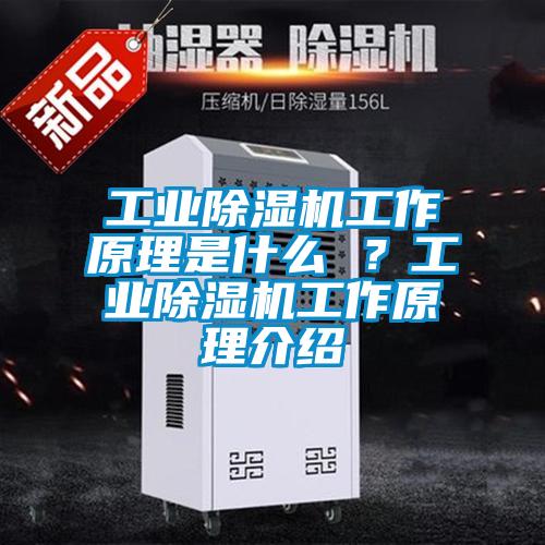 工業(yè)除濕機工作原理是什么 ？工業(yè)除濕機工作原理介紹