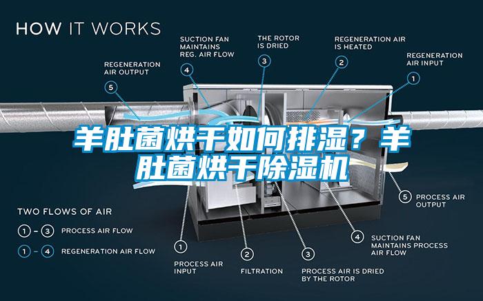 羊肚菌烘干如何排濕？羊肚菌烘干除濕機