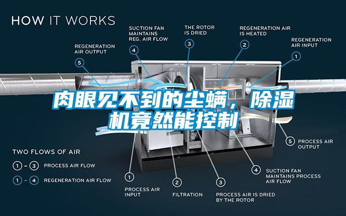 肉眼見(jiàn)不到的塵螨，除濕機(jī)竟然能控制