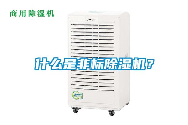 什么是非標除濕機？