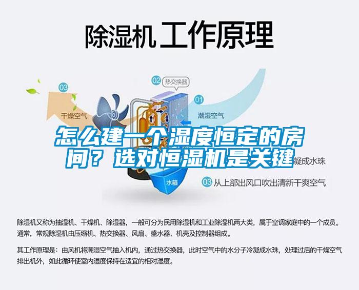 怎么建一個濕度恒定的房間？選對恒濕機是關鍵