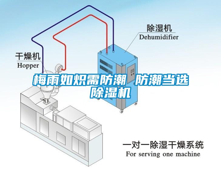 梅雨如熾需防潮 防潮當(dāng)選除濕機(jī)