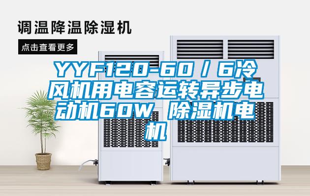 YYF120-60／6冷風(fēng)機用電容運轉(zhuǎn)異步電動機60W 除濕機電機