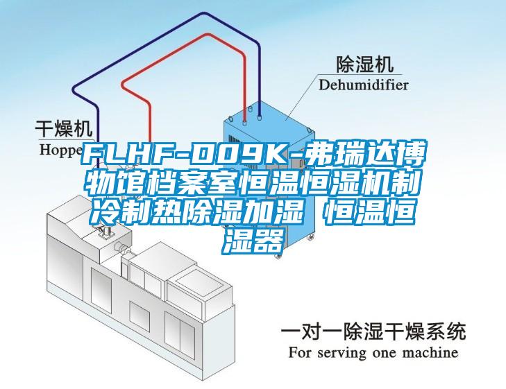 FLHF-D09K-弗瑞達(dá)博物館檔案室恒溫恒濕機(jī)制冷制熱除濕加濕 恒溫恒濕器