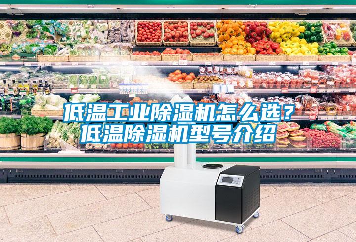 低溫工業(yè)除濕機怎么選？低溫除濕機型號介紹