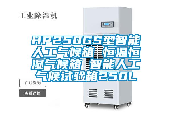 HP250GS型智能人工氣候箱 恒溫恒濕氣候箱 智能人工氣候試驗(yàn)箱250L