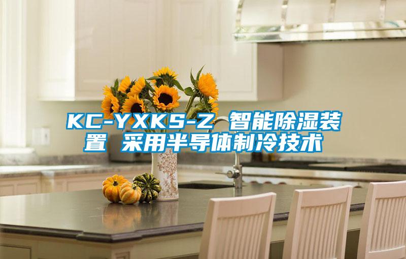 KC-YXKS-Z 智能除濕裝置 采用半導體制冷技術(shù)