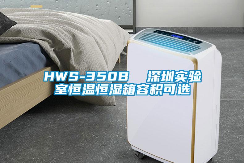 HWS-350B  深圳實驗室恒溫恒濕箱容積可選