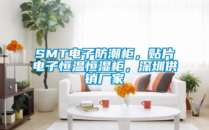 SMT電子防潮柜，貼片電子恒溫恒濕柜，深圳供銷廠家