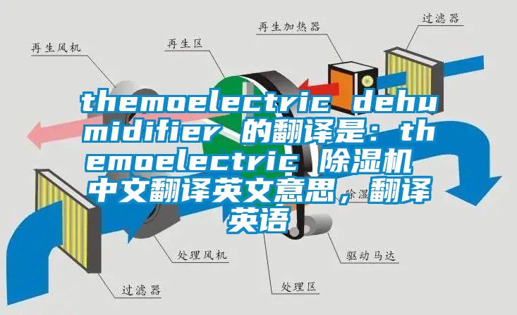 themoelectric dehumidifier 的翻譯是：themoelectric 除濕機 中文翻譯英文意思，翻譯英語