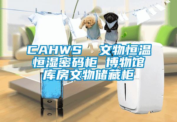 CAHWS  文物恒溫恒濕密碼柜 博物館庫房文物儲(chǔ)藏柜