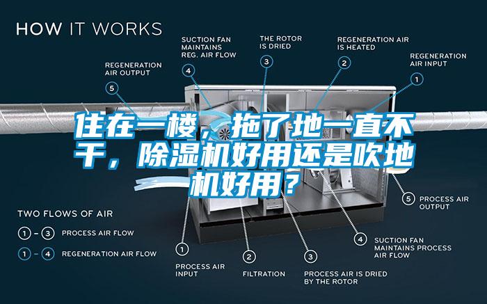 住在一樓，拖了地一直不干，除濕機(jī)好用還是吹地機(jī)好用？