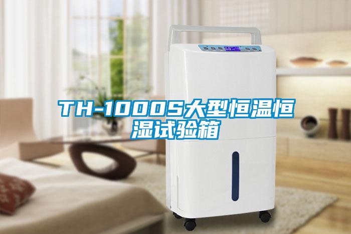 TH-1000S大型恒溫恒濕試驗(yàn)箱