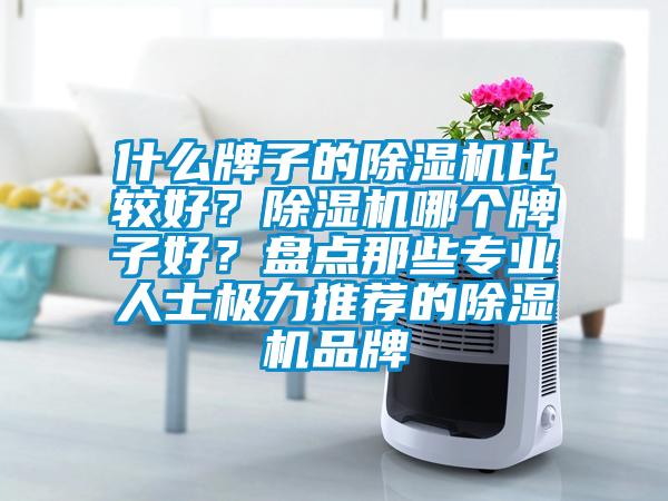 什么牌子的除濕機比較好？除濕機哪個牌子好？盤點那些專業(yè)人士極力推薦的除濕機品牌