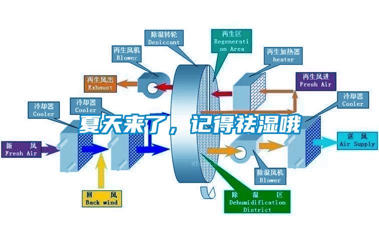 夏天來了，記得祛濕哦