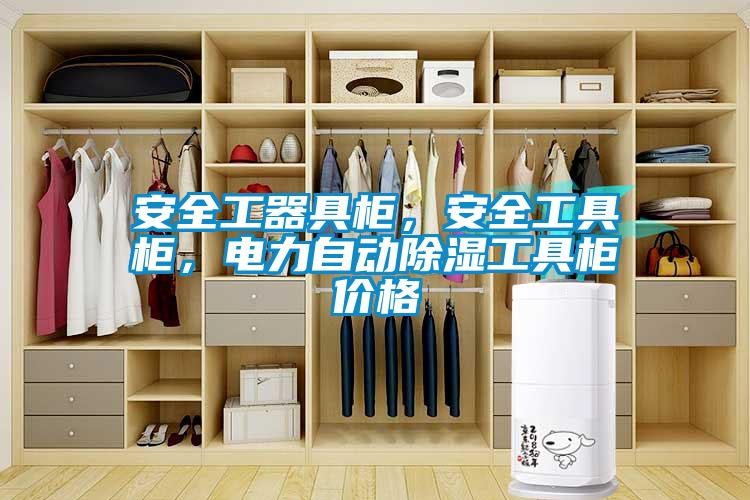 安全工器具柜，安全工具柜，電力自動(dòng)除濕工具柜價(jià)格