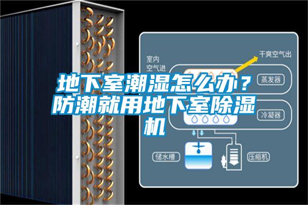 地下室潮濕怎么辦？防潮就用地下室除濕機(jī)