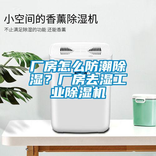 廠房怎么防潮除濕？廠房去濕工業(yè)除濕機(jī)