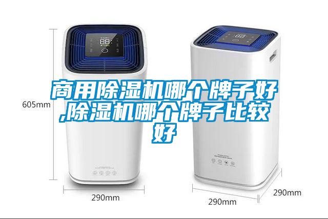 商用除濕機哪個牌子好,除濕機哪個牌子比較好