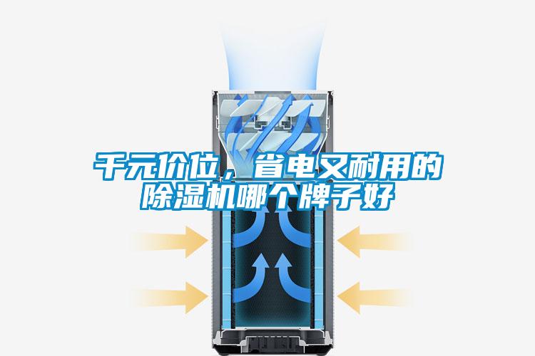 千元價位，省電又耐用的除濕機哪個牌子好