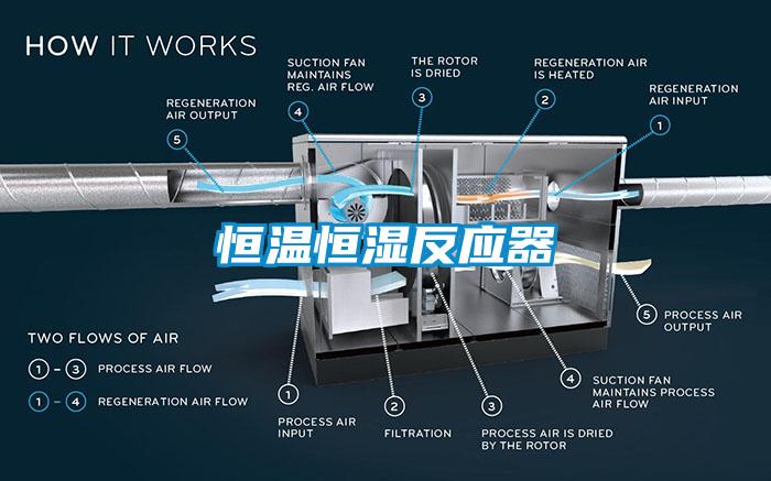 恒溫恒濕反應器