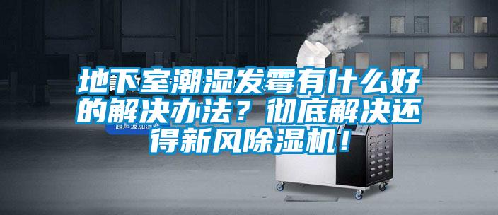 地下室潮濕發(fā)霉有什么好的解決辦法？徹底解決還得新風(fēng)除濕機(jī)！