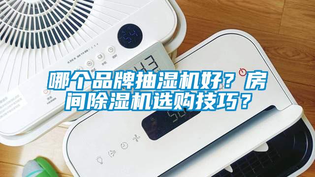 哪個品牌抽濕機(jī)好？房間除濕機(jī)選購技巧？