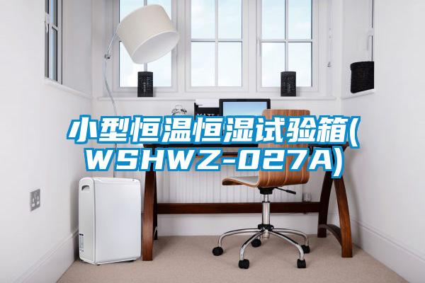 小型恒溫恒濕試驗(yàn)箱(WSHWZ-027A)