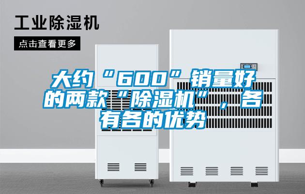 大約“600”銷量好的兩款“除濕機”，各有各的優(yōu)勢