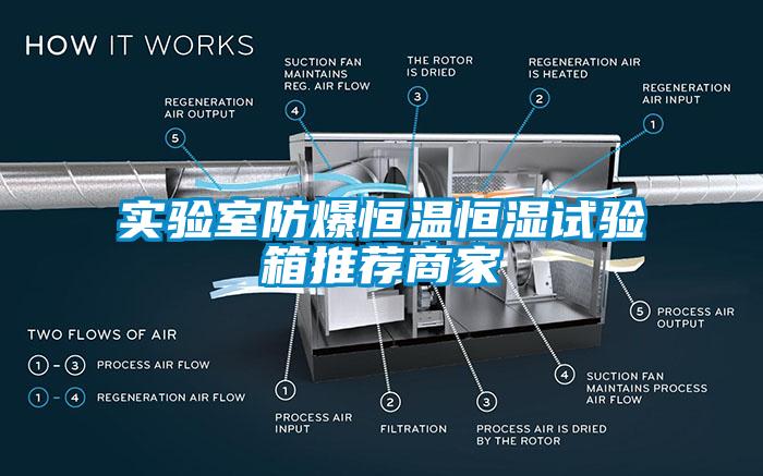 實(shí)驗(yàn)室防爆恒溫恒濕試驗(yàn)箱推薦商家