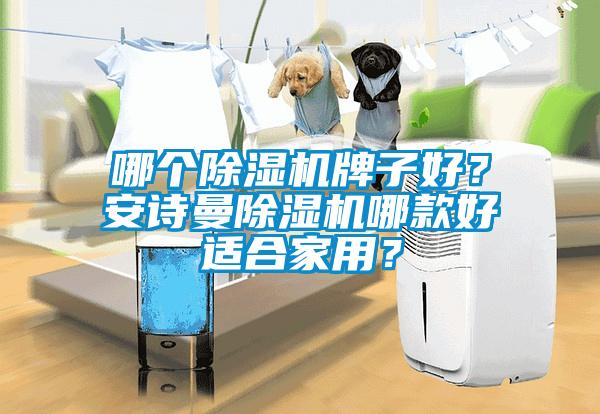 哪個(gè)除濕機(jī)牌子好？安詩曼除濕機(jī)哪款好適合家用？