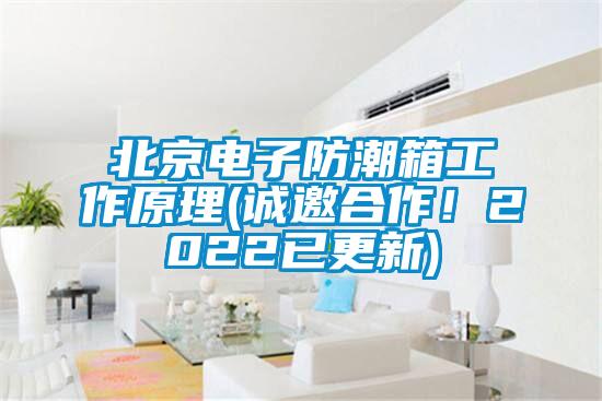 北京電子防潮箱工作原理(誠(chéng)邀合作！2022已更新)