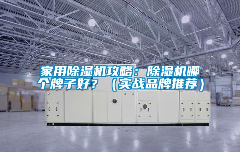 家用除濕機攻略：除濕機哪個牌子好？（實戰(zhàn)品牌推薦）