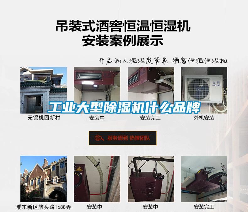 工業(yè)大型除濕機什么品牌