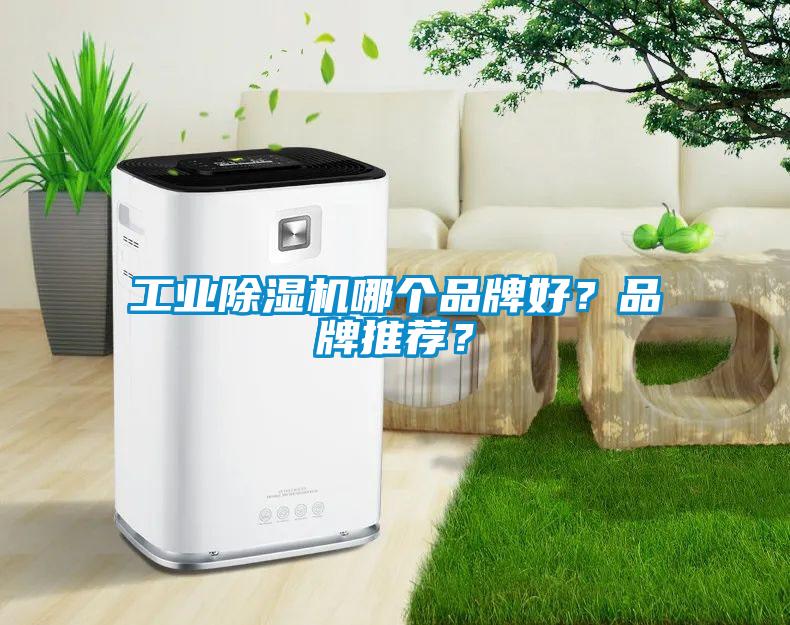 工業(yè)除濕機哪個品牌好？品牌推薦？