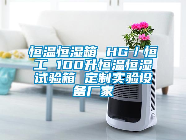 恒溫恒濕箱 HG／恒工 100升恒溫恒濕試驗箱 定制實驗設備廠家