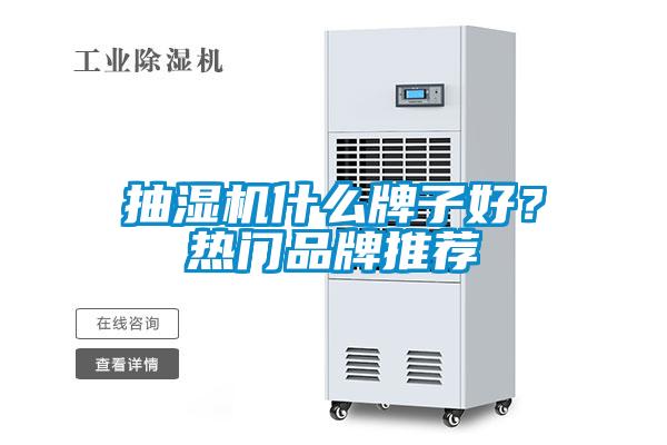 抽濕機什么牌子好？熱門品牌推薦