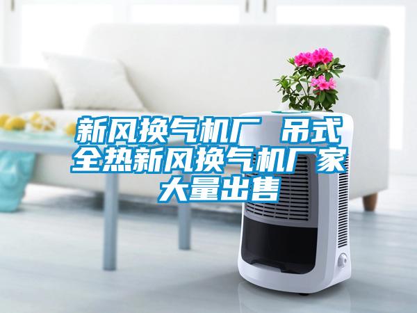 新風換氣機廠 吊式全熱新風換氣機廠家 大量出售