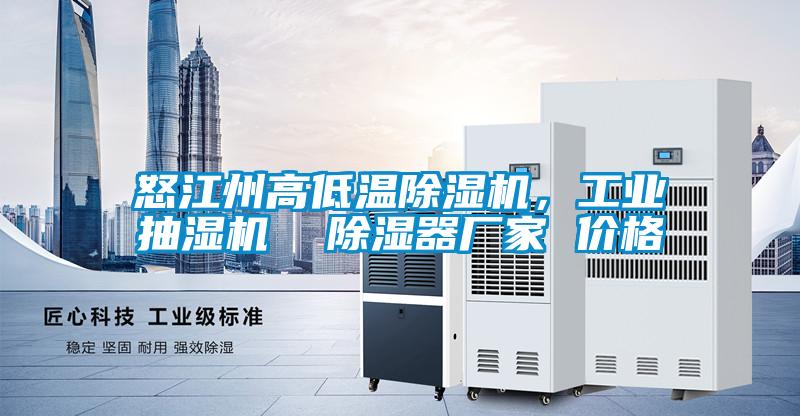 怒江州高低溫除濕機，工業(yè)抽濕機  除濕器廠家 價格