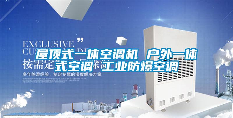 屋頂式一體空調機 戶外一體式空調 工業(yè)防爆空調