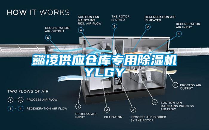 懿凌供應(yīng)倉庫專用除濕機YLGY