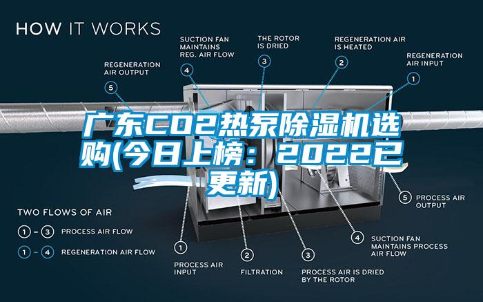 廣東CO2熱泵除濕機選購(今日上榜：2022已更新)